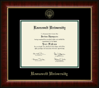 Roosevelt University Gold Embossed Diploma Frame in Murano