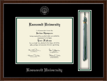 Roosevelt University Tassel Edition Diploma Frame in Delta