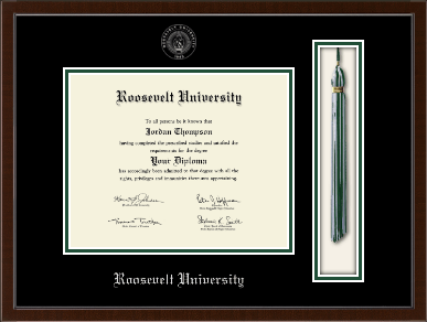 Roosevelt University diploma frame - Tassel & Cord Diploma Frame in Delta