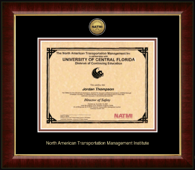 North American Transportation Management Inst certificate frame - Gold Engraved Medallion Certificate Frame in Murano