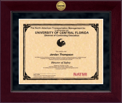 North American Transportation Management Inst certificate frame - Millennium Gold Engraved Certificate Frame in Cordova