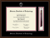 Stevens Institute of Technology Tassel Edition Diploma Frame in Delta
