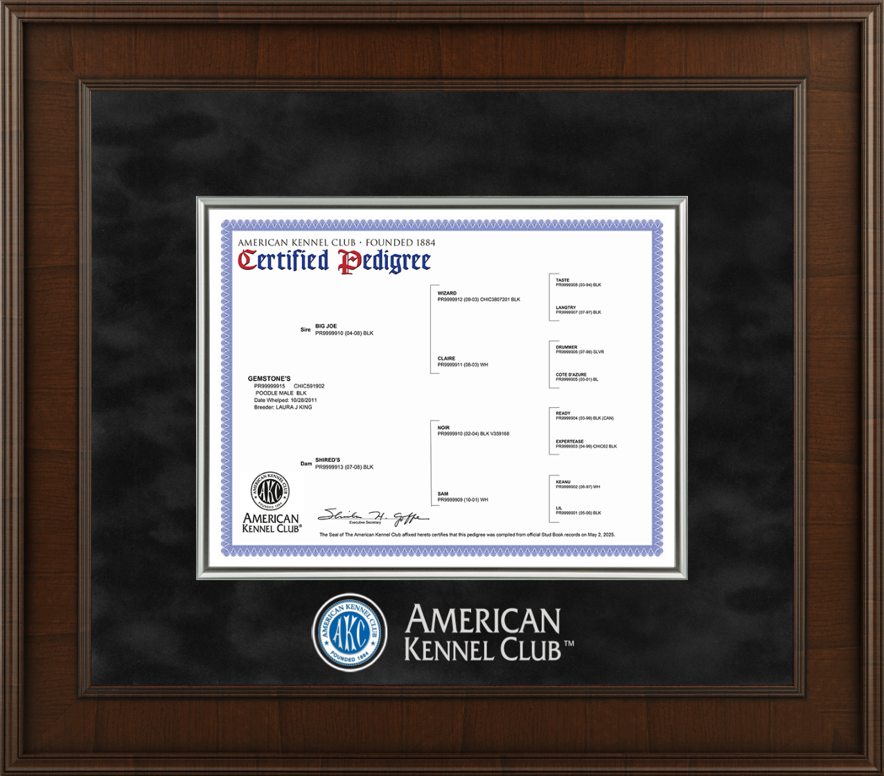 akc pedigree database