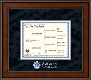 American kennel club pedigree search online