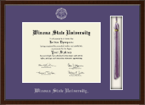 Winona State University Tassel Edition Diploma Frame in Delta