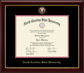 Masterpiece Medallion Diploma Frame
