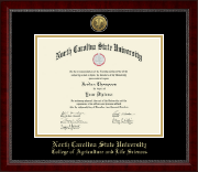 North Carolina State University Gold Engraved Medallion Diploma Frame in Sutton