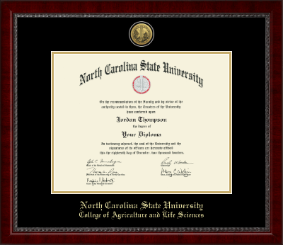 North Carolina State University diploma frame - Gold Engraved Medallion Diploma Frame in Sutton