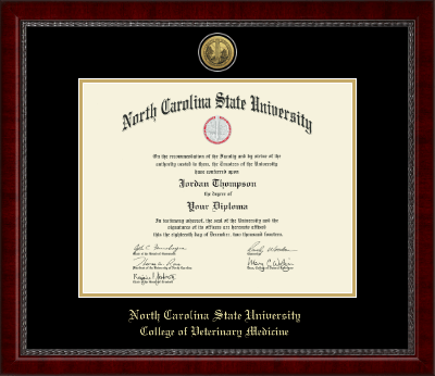 North Carolina State University diploma frame - Gold Engraved Medallion Diploma Frame in Sutton