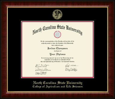 North Carolina State University diploma frame - Gold Embossed Diploma Frame in Murano