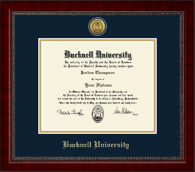 Bucknell University diploma frame - Gold Engraved Medallion Diploma Frame in Sutton