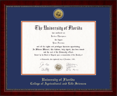 University of Florida diploma frame - Gold Engraved Medallion Diploma Frame in Sutton