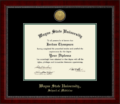 Wayne State University diploma frame - Gold Engraved Medallion Diploma Frame in Sutton