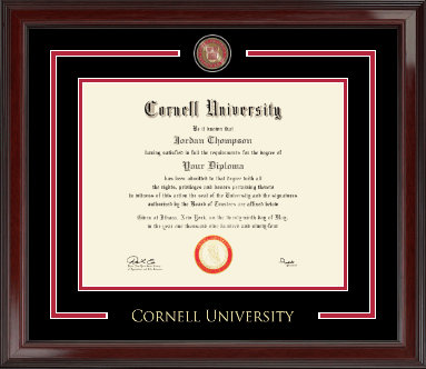 Cornell University diploma frame - Showcase Edition Diploma Frame in Encore