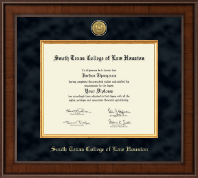 South Texas College of Law Houston Presidential Gold Engraved Diploma Frame in Madison