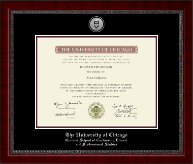 University of Chicago diploma frame - Silver Engraved Medallion Diploma Frame in Sutton