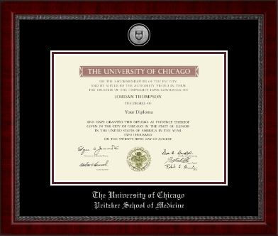 University of Chicago diploma frame - Silver Engraved Medallion Diploma Frame in Sutton