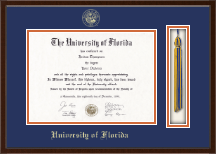 University of Florida Tassel Edition Diploma Frame in Delta