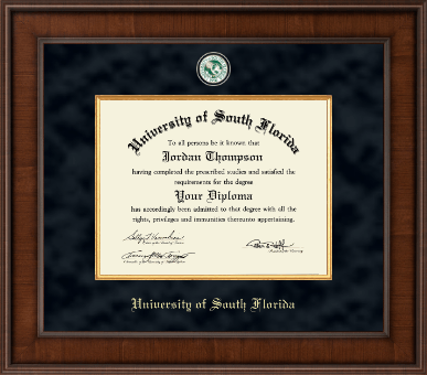 University of South Florida Health Sciences diploma frame - Presidential Masterpiece Diploma Frame in Madison
