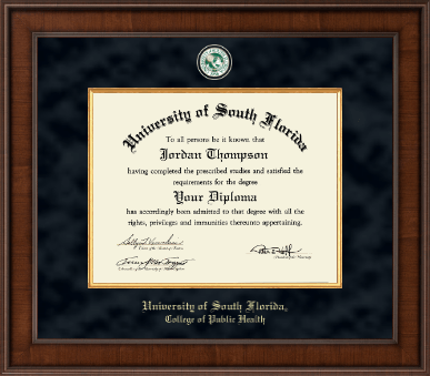 University of South Florida Health Sciences diploma frame - Presidential Masterpiece Diploma Frame in Madison
