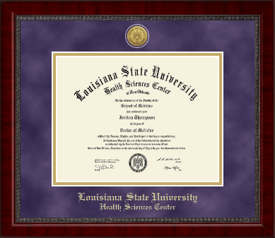 Louisiana State University Health Sciences Center diploma frame - Gold Engraved Medallion Diploma Frame in Sutton