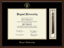 Bryant University Tassel Edition Diploma Frame in Delta