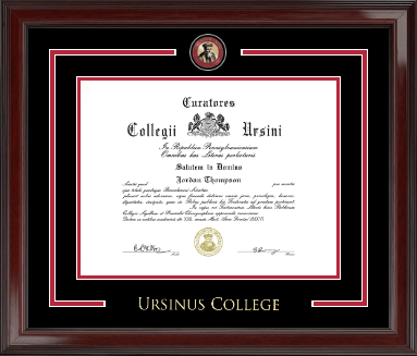 Ursinus College diploma frame - Showcase Edition Diploma Frame in Encore