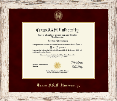 Texas A&M University diploma frame - Gold Embossed Diploma Frame in Barnwood White