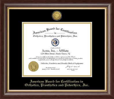 American Board for Certification in Orthotics, Prosthetics & Pedorthics certificate frame - Gold Engraved Medallion Certificate Frame in Hampshire