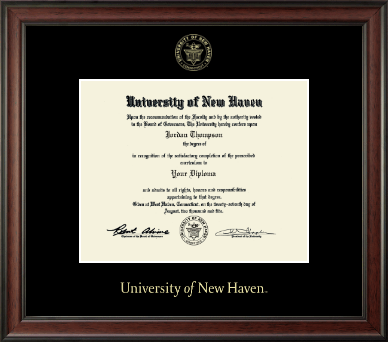 University of New Haven diploma frame - Gold Embossed Diploma Frame in Studio