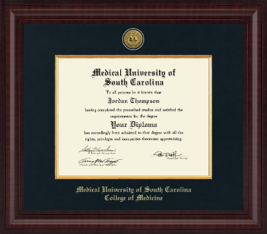 Medical University of South Carolina diploma frame - Presidential Gold Engraved Diploma Frame in Premier