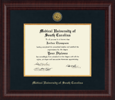 Medical University of South Carolina diploma frame - Presidential Gold Engraved Diploma Frame in Premier