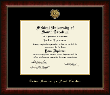 Medical University of South Carolina diploma frame - Gold Engraved Medallion Diploma Frame in Murano