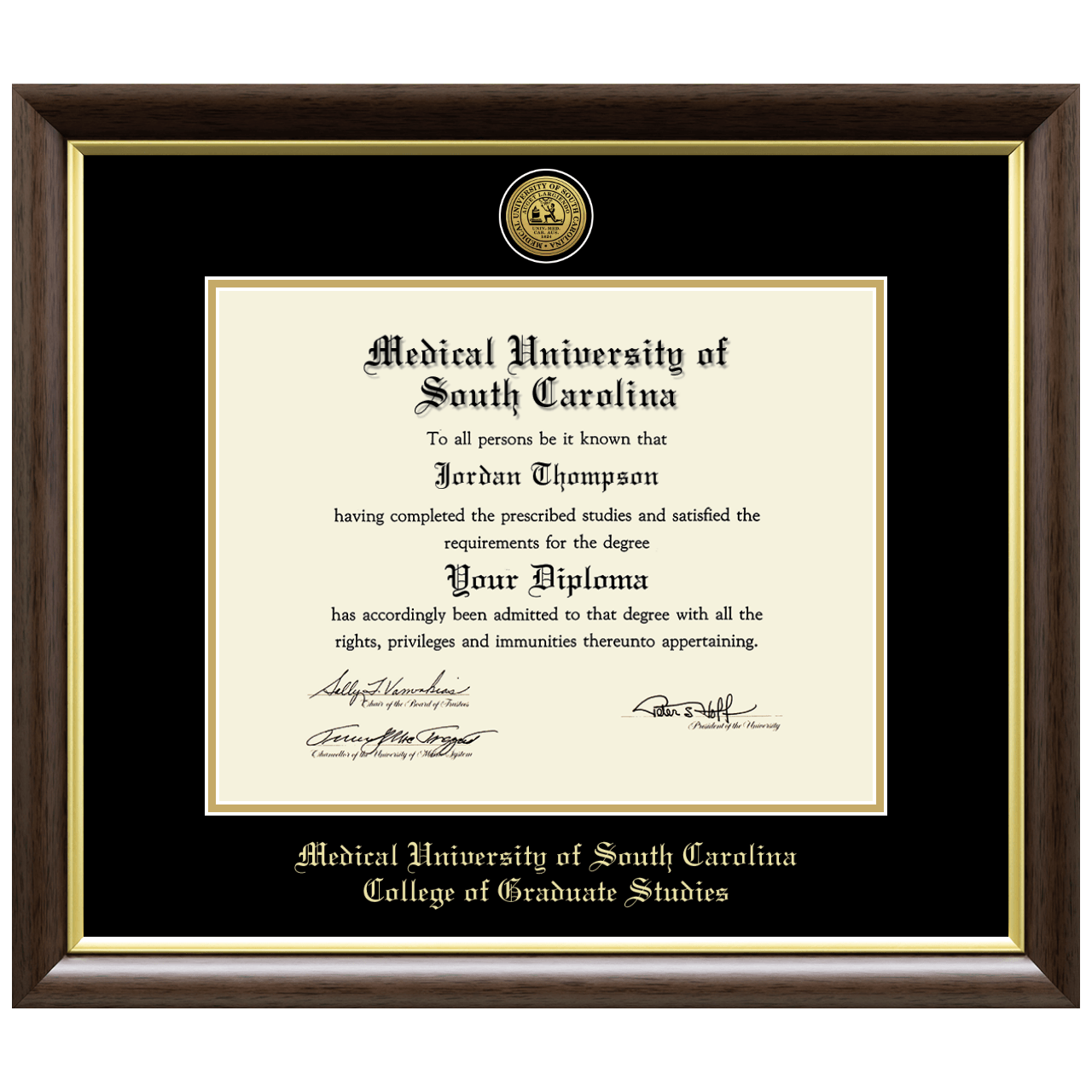 Gold Engraved Medallion Diploma Frame in Hampshire Medical University