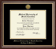 Medical University of South Carolina diploma frame - Gold Engraved Medallion Diploma Frame in Hampshire