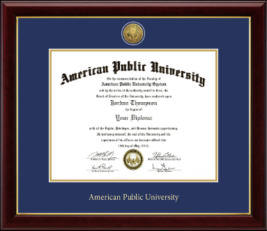 American Public University diploma frame - Gold Engraved Medallion Diploma Frame in Gallery
