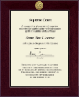 State of Illinois Century Gold Engraved Certificate Frame in Cordova