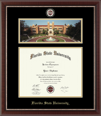 Florida State University diploma frame - Campus Scene Masterpiece Diploma Frame in Chateau