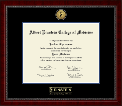 Albert Einstein College of Medicine diploma frame - Gold Engraved Medallion Diploma Frame in Sutton