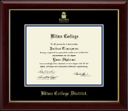 Blinn College Gold Embossed Diploma Frame in Gallery