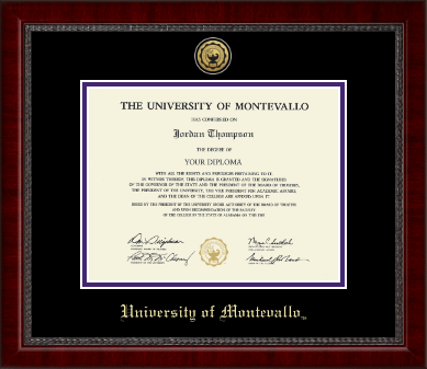 University of Montevallo diploma frame - Gold Engraved Medallion Diploma Frame in Sutton