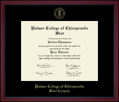 Palmer College of Chiropractic West Campus diploma frame - Gold Embossed Achievement Edition Diploma Frame in Academy