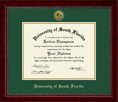 University of South Florida diploma frame - Gold Engraved Medallion Diploma Frame in Sutton