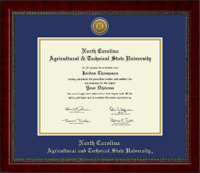 North Carolina A&T State University diploma frame - Gold Engraved Medallion Diploma Frame in Sutton
