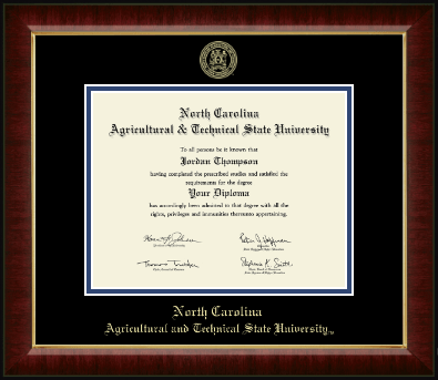 North Carolina A&T State University diploma frame - Gold Embossed Diploma Frame in Murano