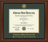 Colorado State University diploma frame - Gold Engraved Medallion Diploma Frame in Austin