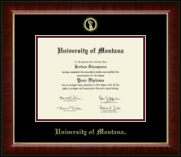Gold Embossed Diploma Frame