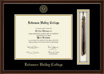 Lebanon Valley College diploma frame - Tassel & Cord Diploma Frame in Delta