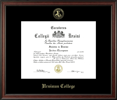 Ursinus College diploma frame - Gold Embossed Diploma Frame in Studio