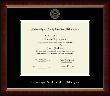 University of North Carolina Wilmington diploma frame - Gold Embossed Diploma Frame in Murano